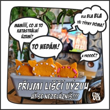 Liščí výzva BUUK: jak to všechno začalo