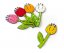 Provlékačka - tulipán - Velikost sady: 5 ks provlékaček (32 Kč/ks), Barva provlékačky: oranžová