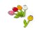 provlékačky tulipány